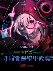 斗罗之开局觉醒铠甲武魂