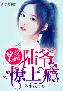 我在亮剑当战狼类似