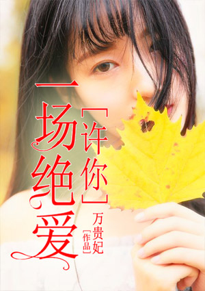 夜的第一章徐正华安小菁师父