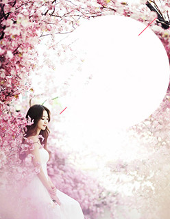 林秀最后什么修为